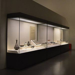 Mobili vetrina museo LY Custom per esposizione galleria - Product Image 5