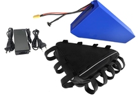 Batterie triangulaire personnalisée en promotion pour VTT électrique, 48V 13Ah 20Ah 28Ah 30Ah, modèle PCV à coque rigide
