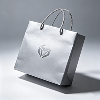 Coffret cadeau rigide de luxe pour collier et bague, imprimé sur mesure et réutilisable |   Sac en papier argenté écologique avec poignée en ruban