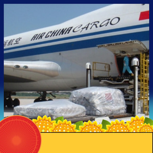 บริการขนส่งสินค้าทางเรือและทางอากาศของรุ่ยเซียง แอฟริกา ไลน์ สำหรับแอฟริกา พร้อมบริการดำเนินพิธีการศุลกากรและเอกสาร - Product Image 4