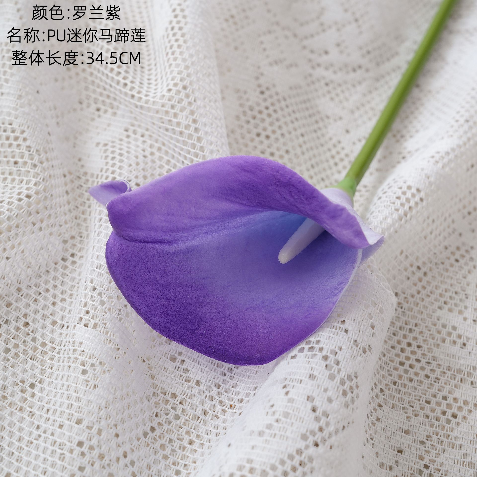 Roland violet