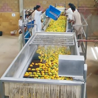 10-200T/D Automatische Sinaasappel-Citroentomaat Mango Vruchtensap Machine Fruitconcentraat Productielijn