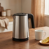 Bouilloire électrique en acier inoxydable de conception créative 1,0 L pour la maison, la cuisine, le restaurant, la chambre d'hôtel, la préparation du thé