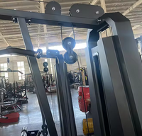 Máquina de Polea Vertical SK, Equipo Comercial para Fortalecer la Espalda, para Gimnasios, Hoteles, Proveedor Mayorista, OEM, ODM, China