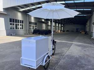 Carrito Eléctrico para Venta de Comida Callejera, Helados y Bebidas, Máquina Expendedora de Café, con Cámara Frigorífica de 200L - Product Image 3