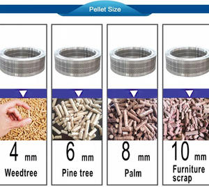 Máquina Peletizadora de 11kw y 450 kg para Producción de Pellets de Madera a partir de Astillas de Madera - Product Image 2