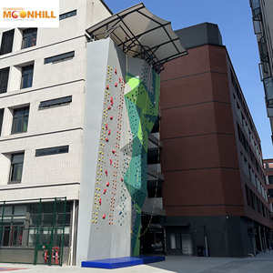 Muro de Escalada de Roca de Alta Velocidad para Interiores y Exteriores, Nuevo Diseño - Product Image 4