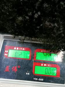 วิกผมคนแท้100% 270กรัม SDD Pixie หยิกหน้าม้าสุดๆ - Product Image 3