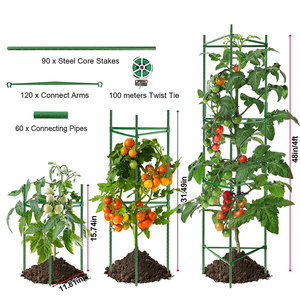 Piante a traliccio ad arco da giardino alte 6.9 piedi per piante a gabbia di Rose da giardino per piante in vaso - Product Image 4