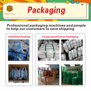 Muñeco <span class=keywords><strong>de</strong></span> Peluche <span class=keywords><strong>de</strong></span> Anime <span class=keywords><strong>de</strong></span> 4/7/8 Pulgadas, Muñeco <span class=keywords><strong>de</strong></span> Peluche <span class=keywords><strong>de</strong></span> <span class=keywords><strong>Bob</strong></span> <span class=keywords><strong>Esponja</strong></span>, Muñeco <span class=keywords><strong>de</strong></span> Peluche <span class=keywords><strong>de</strong></span> Algodón PP del Mundo Submarino, Muñeco <span class=keywords><strong>de</strong></span> Máquina <span class=keywords><strong>de</strong></span> Garras - Product Image 5