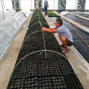 Baguettes en fibre de verre pultrudée personnalisées meubles d'agriculture sportive de jardin technique de moulage de moule d'application industrielle de finition lisse - Product Image 2