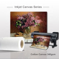 Rouleau de toile jet d'encre mate 390 g/m² 2026 Colorway 100 % coton imperméable sans OBA pour impression Giclée professionnelle