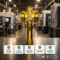 Vanne de purge antigel en laiton à actionnement automatique sans électricité, contrôle de température, protection contre le gel pour pompe à chaleur à source d'air EPDM