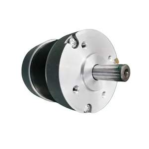 BL57 high torque brushless motor factory 24v 150w bldc motor manufacturer for the electric power tools