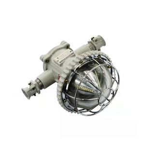 Luz LED a Prueba de Explosiones para Túneles DGS24127L, 24W, 127V, T4, Nema 4X, Iluminación para Minería - Product Image 2