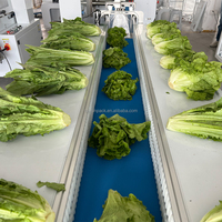 Machine d'emballage à flux horizontal à film anti-buée pour aliments légumes laitue carotte machine d'emballage sacs en plastique moteur