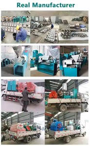 Macchina per Spremitura a Freddo, Macchina per Produzione di Olio Vegetale, Macchina per Spremitura di Olio di Arachidi - Product Image 6