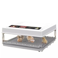 Couveuse à œufs automatique de 70 œufs pour poulets, canards, oies et oiseaux