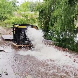 Pompe à eau diesel mobile, centrifuge, avec sorties de 3, 4, 6 et 8 pouces, pour la lutte contre les inondations et le transport des eaux usées - Product Image 4