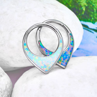 ASTM F136 G23 titane anodisation 16G Septum anneau de cerceau segment articulé nez Clicker Tragus Helix Daith boucle d'oreille Piercing bijoux