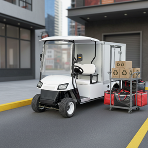 Carrito de Golf Eléctrico Todoterreno con Cajas de Carga, 72V, 4/8 Plazas, Doble Fila, Certificado DOT para Alquiler - Product Image 6