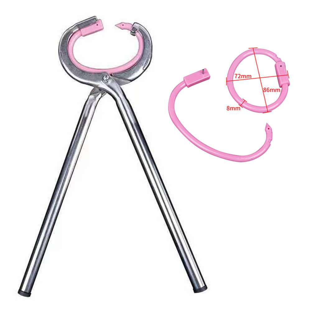 Pince à Nez De Bovin, Pince à Nez De Vache En Acier Inoxydable, Auto-bloquante, Accessoire Pour Animaux