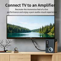 Vente directe d'usine, câble audio USB C 3,5 mm vers 2 RCA, noyau en cuivre, câble audio personnalisé plaqué or, double blindage, pour ordinateur