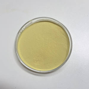 Fire Dancer Utiliser Lycopodium Poudre Échantillon Gratuit Lycopodium Poudre Feux D'artifice Pour L'art Magique - Product Image 4