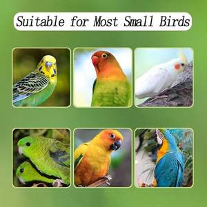 Petite <span class=keywords><strong>cage</strong></span> en acrylique, mangeoire à oiseaux en acrylique, <span class=keywords><strong>cage</strong></span> pour animaux de compagnie, crochets en acier inoxydable, bac à graines, pas de désordre, perroquets, canaris, perruches - Product Image 4