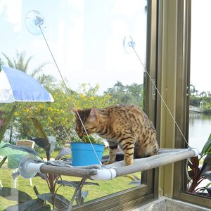 Populaire Offre Spéciale personnalisé en gros en plastique écologique ventouses de sécurité multicolore chat dormir fenêtre perchoir lit <span class=keywords><strong>hamac</strong></span> - Product Image 6