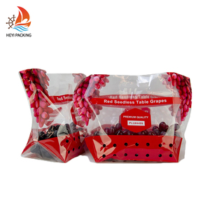 Hdpe Clear Stirage Tomato Growing Custom Plastic Onion Packing Vacuum Bag for Dry Fresh Vegetables