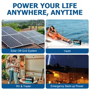 Nuovo Design leone batteria luce solare 100 Amp ora litio 12v 24v 7ah 20ah Rv 100ah con il prezzo basso