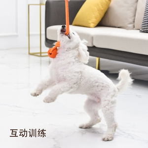 Jouet en corde solide, balle en caoutchouc durable à mâcher pour animaux de compagnie, entraînement de récupération, taille moyenne - Product Image 1
