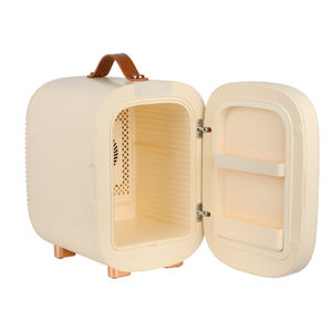 Fábrica OEM Design Bege Retro Design Portátil LED Light Digital Display Beleza Geladeira 5L Mini Maquiagem Geladeira - Product Image 4