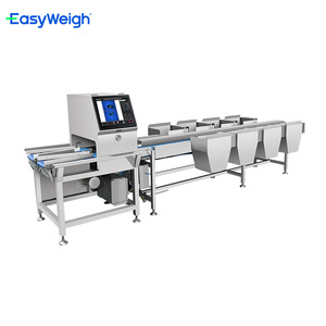 Clasificador de Peso de Mariscos para <span class=keywords><strong>Ostras</strong></span>, Equipo de Clasificación de Alta Precisión - Product Image 2