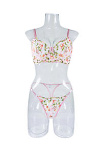 Conjunto de Lencería Sexy de Encaje Transparente con Bordado Floral, Estilo Otoñal, Producto en Oferta - Product Image 5