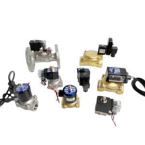 שסתום מים סולנואידי פנאומטי מסוג דיאפרגמה מנחושת של Hanqian, 2W סגור בדרך כלל, 2W250-25 2W160-15 2W200-20 2W350-35 - Product Image 5