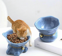 Bols de voyage surélevés pour chats de style européen, antidérapants, en céramique écologique, imprimé animal, inclinaison à 45 degrés, portables, faciles à nettoyer, pour la nourriture