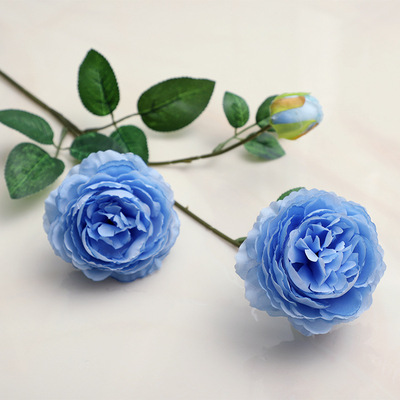 3 heads (2 flowers and 1 bud) of blue ranunculus