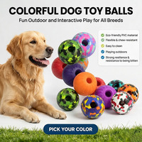 Jouet interactif pour animaux de compagnie : balle EVA rebondissante pour jeux aquatiques et apport dans la cour, jouet à mâcher pour piscine et plage, jouet pour chien