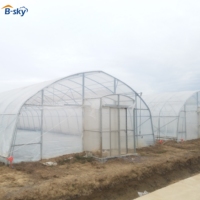 Serre tunnel en film plastique pour la production de légumes et de fruits dans les fermes américaines