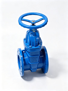 Système d'extinction d'incendie NRS, Vanne à opercule à bride résiliente Z45X homologuée - Product Image 3