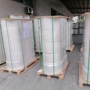 Papel Autoadhesivo para Etiquetas de Tamaño Personalizado, Etiqueta Semibrillante de Alta Calidad, Rollo Jumbo de Etiquetas Térmicas Directas - Product Image 2