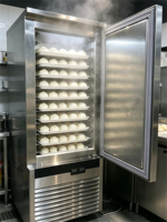Congélateur à choc commercial 15 plateaux à température unique, refroidissement par ventilateur, dégivrage automatique, congélateur vertical pour congélation rapide de la viande