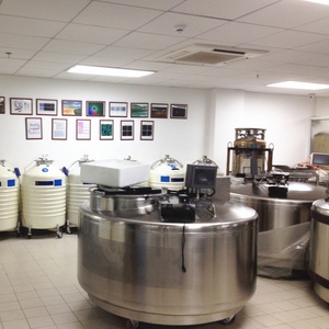 Best Choice LN2 Container <b>Metal</b> YDD-850-465P 850L Liquid Nitrogen Dewars with <b>Workbench</b> - Product Image 6