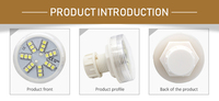 Ampoules LED E14 monocouleur 2W 21 SMD IP65 AC24V CRI 80 pour parcs d'attractions, directement de l'usine en Chine