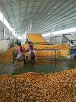 Machine de production de poudre de gingembre séché au four pour ail, patate douce et gingembre