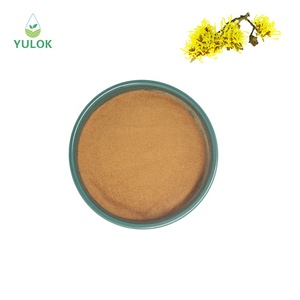 Poudre d'extrait d'hamamélis de qualité supérieure, pure, naturelle, de qualité alimentaire - Product Image 1