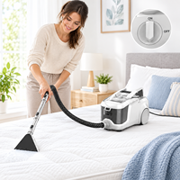 Nettoyage en profondeur économique pour canapé, tapis, tissus d'ameublement, taches d'animaux et déversements avec machine de nettoyage facile à utiliser