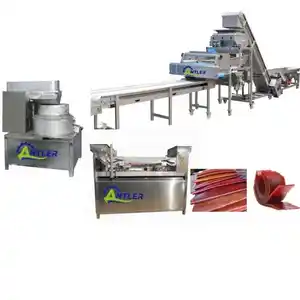 Fruit & vegetable processing machines dried fruit processing machine